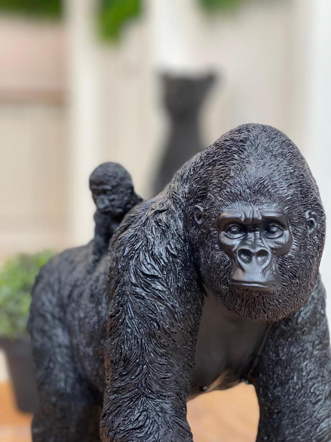 Tous'O'Zoo, Au Coeur Du Centre-Ville Saint-Aignan  Eksteriør billede